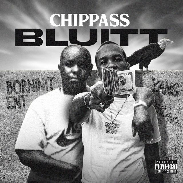 Chippass – BLUITT
